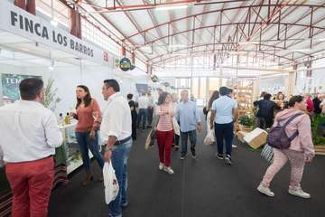 Inauguración de la Feria Gran Canaria Me Gusta (Foto TA)
